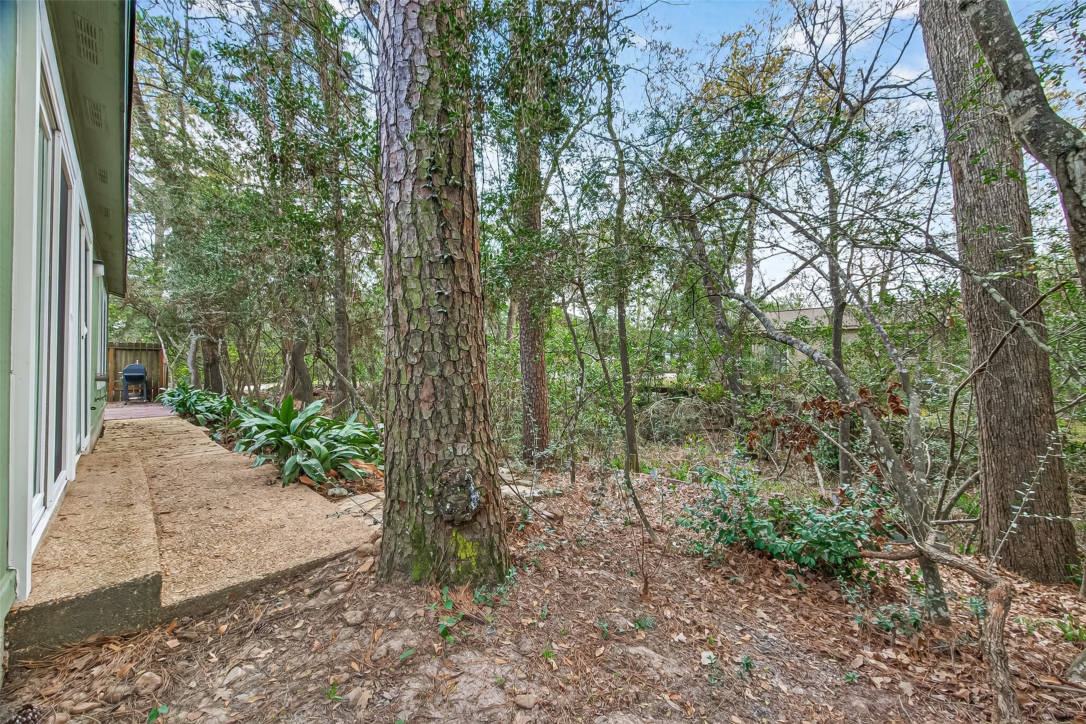 1 Laurel Oak Place Spring, TX 77380 - Photo 38 of 39 a view of a forest with trees