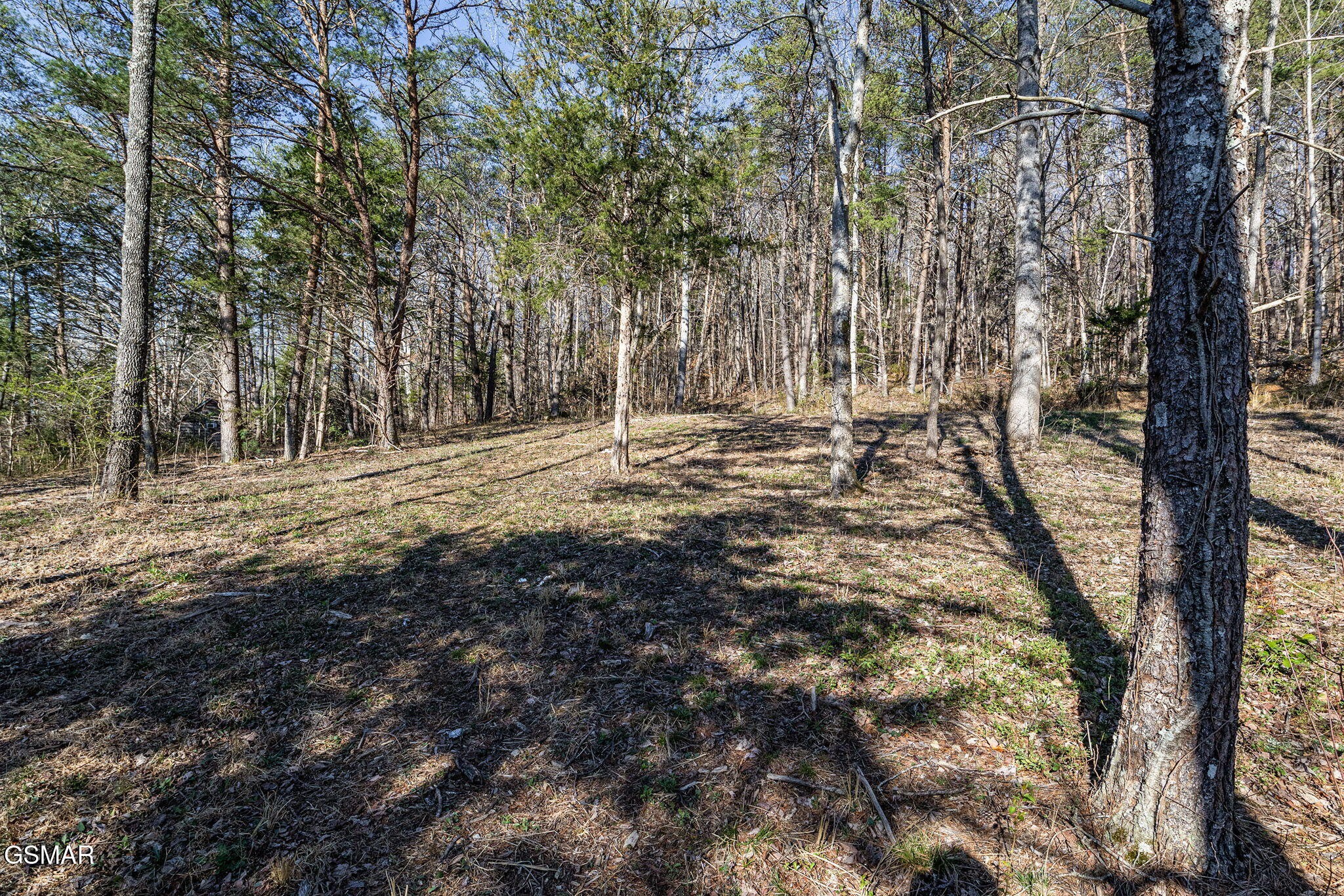 0 Little Meadow Creek Road Greeneville, TN 37743 - Photo 14 of 17