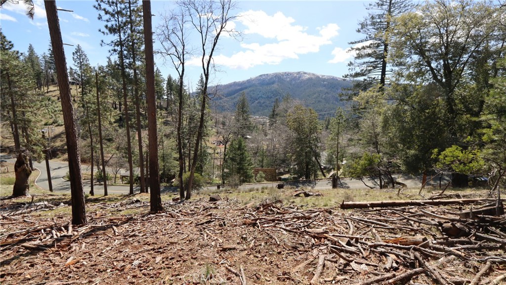 a view of a pathway with a yard
