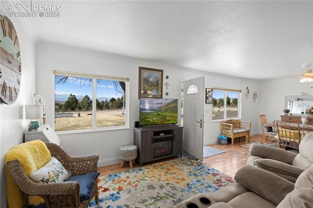 6375 Sayres Road Colorado Springs, CO 80927 - Photo 23 of 40 Living room with ornamental molding, ceiling fan, and light hardwood / wood-style flooring