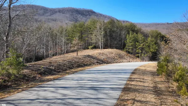 $1,476,206 | 0 Birkdale Drive, Mill Spring, NC 28756