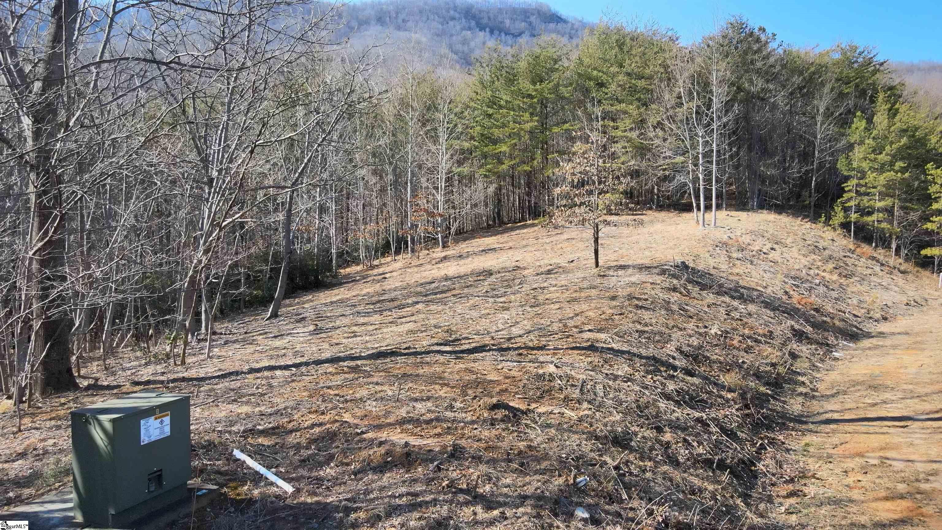 0 Birkdale Drive Mill Spring, NC 28756 - Photo 12 of 24