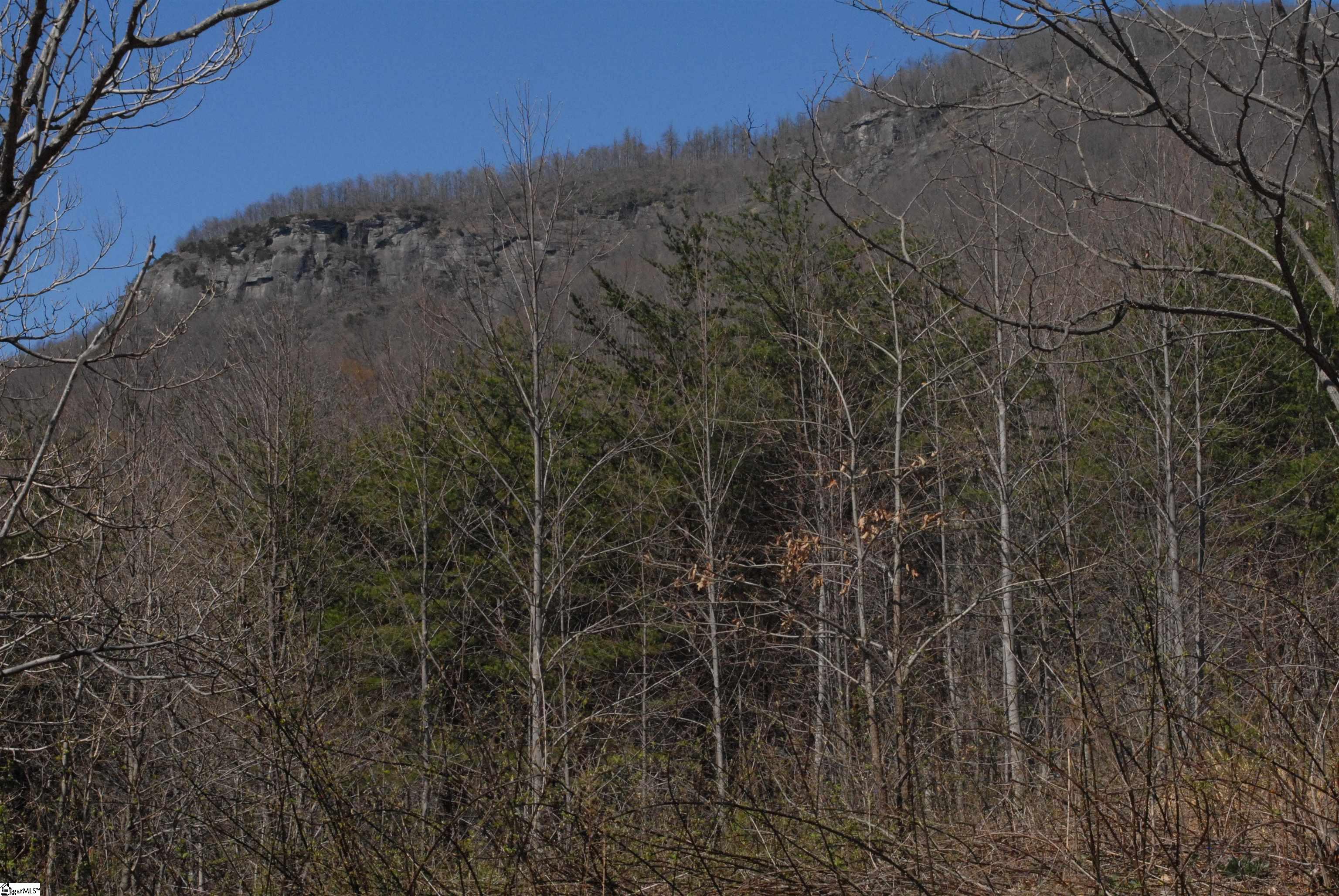 0 Birkdale Drive Mill Spring, NC 28756 - Photo 13 of 24