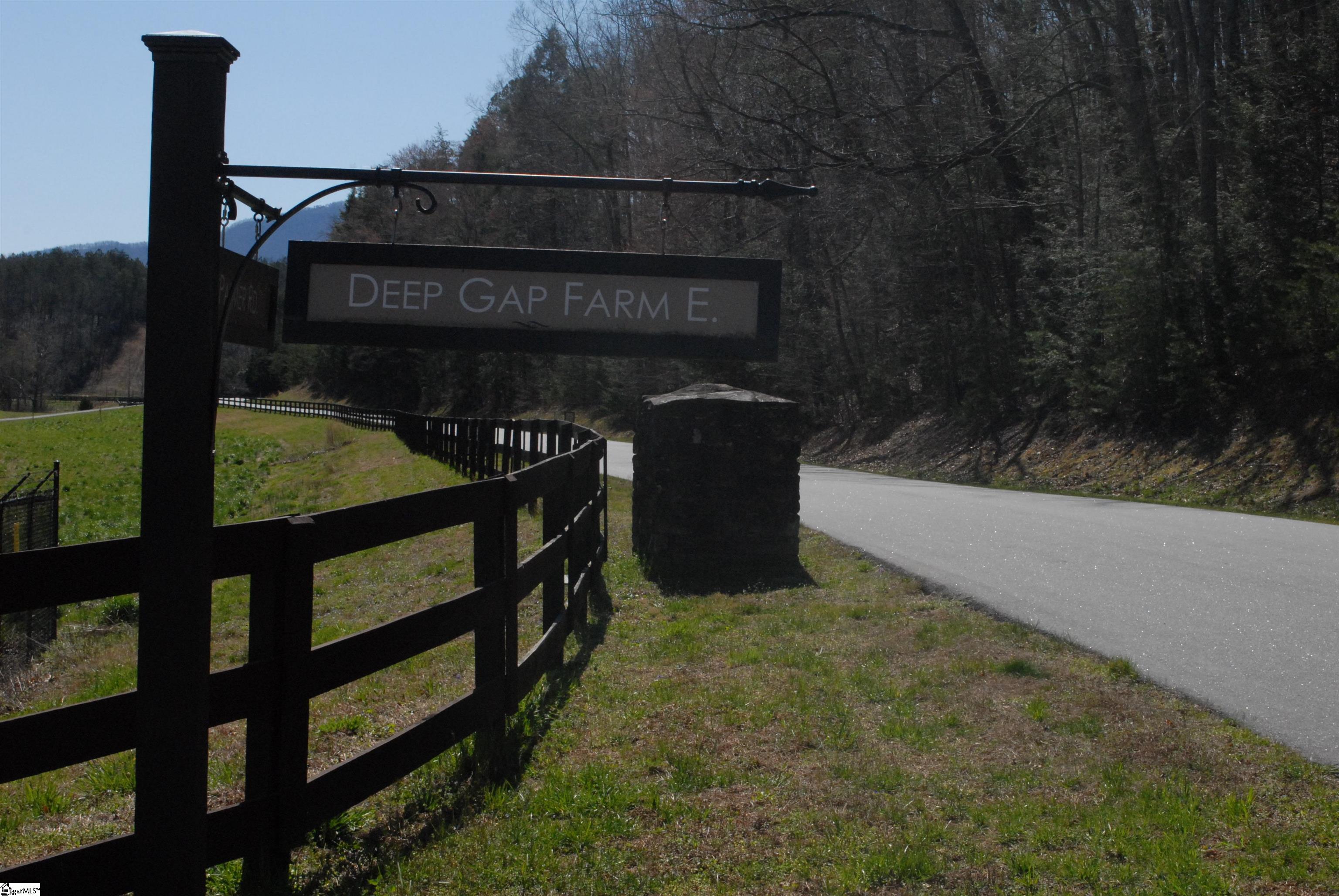 0 Birkdale Drive Mill Spring, NC 28756 - Photo 14 of 24