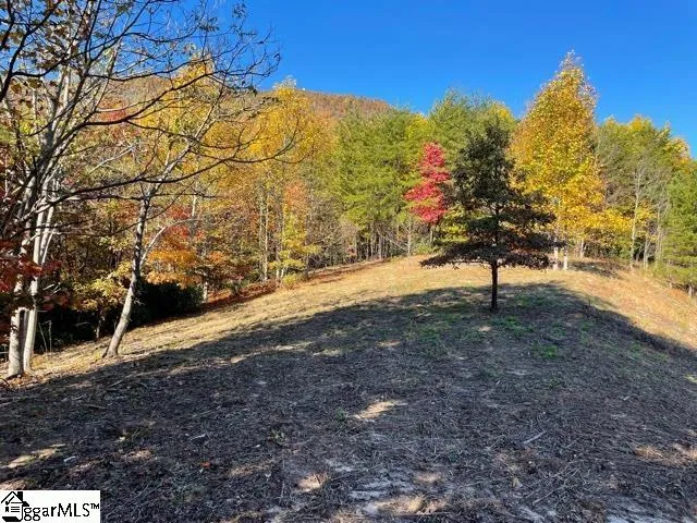 $1,476,206 | 0 Birkdale Drive, Mill Spring, NC 28756