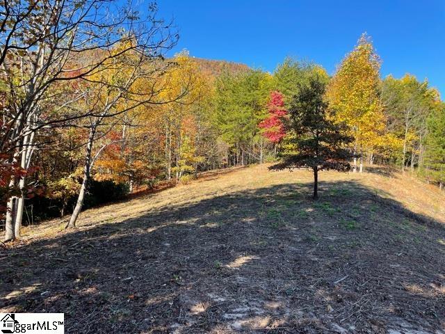 0 Birkdale Drive Mill Spring, NC 28756 - Photo 3 of 24