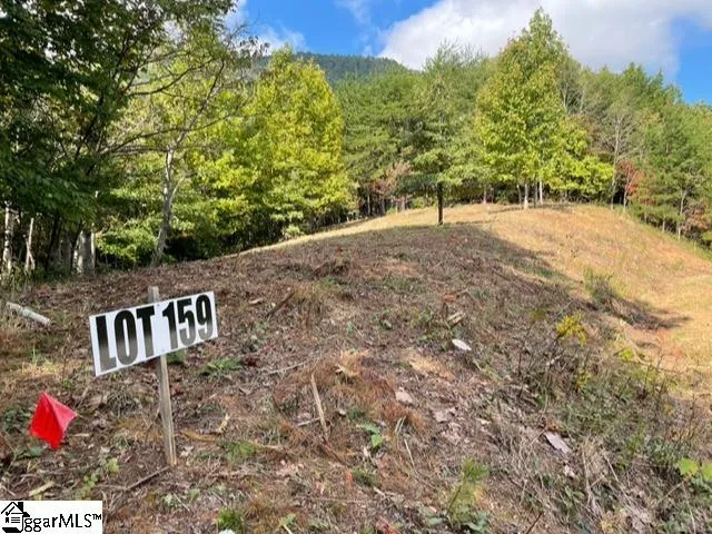 $1,476,206 | 0 Birkdale Drive, Mill Spring, NC 28756