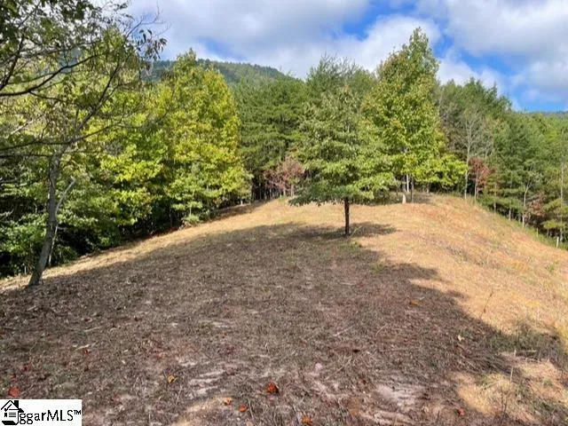 $1,476,206 | 0 Birkdale Drive, Mill Spring, NC 28756