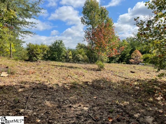 0 Birkdale Drive Mill Spring, NC 28756 - Photo 8 of 24