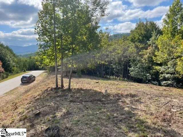 $1,476,206 | 0 Birkdale Drive, Mill Spring, NC 28756