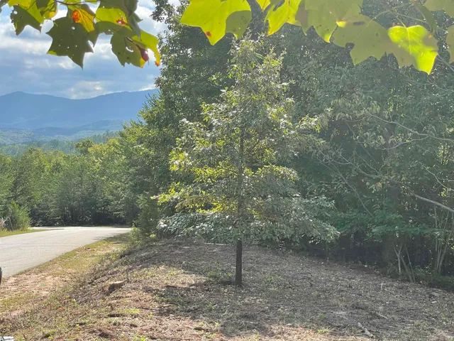 $1,476,206 | 0 Birkdale Drive, Mill Spring, NC 28756