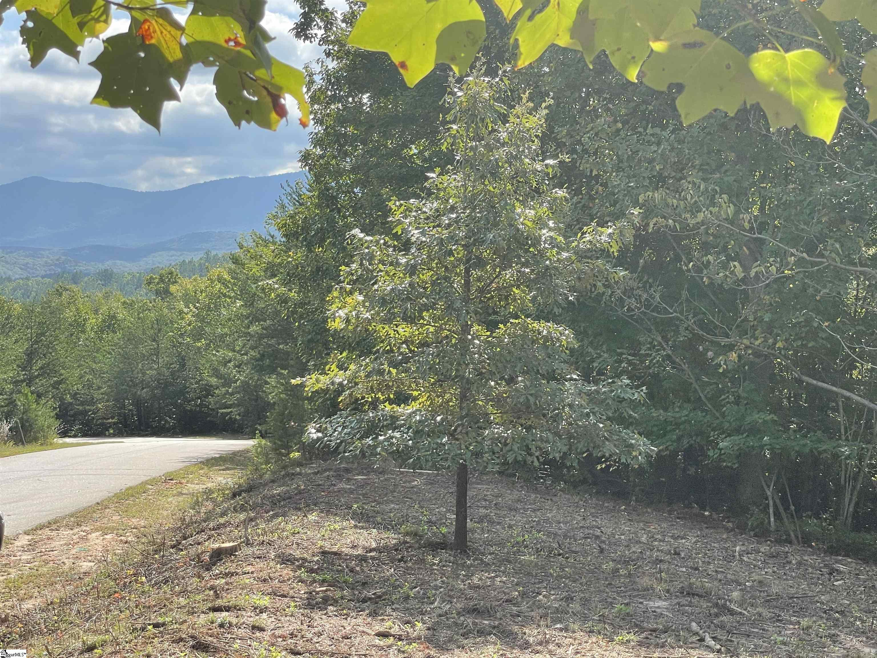 0 Birkdale Drive Mill Spring, NC 28756 - Photo 10 of 24