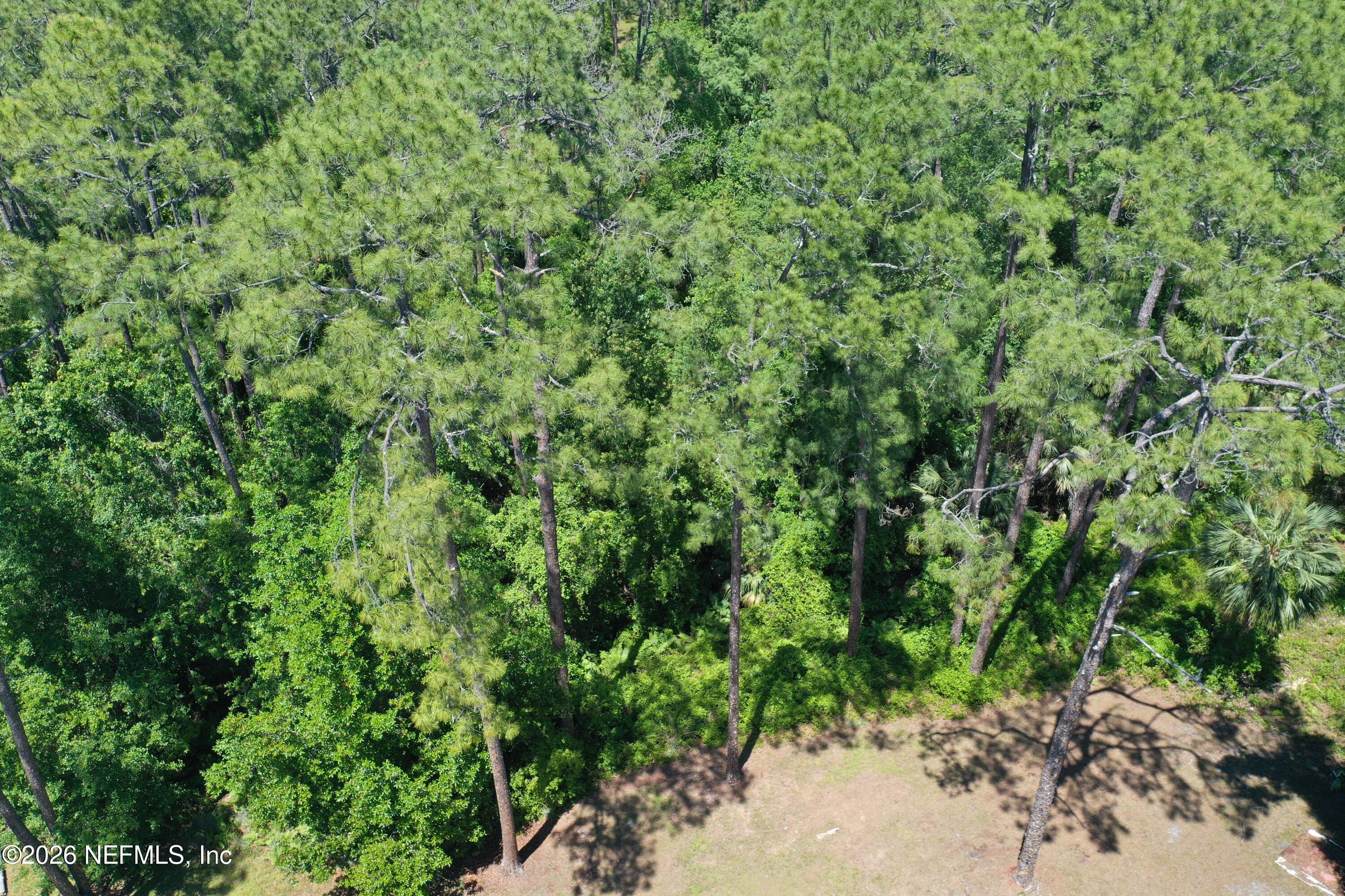 0 Walnut Street Welaka, FL 32193 - Photo 23 of 25 org_1d461e57b0742890_1744477088000