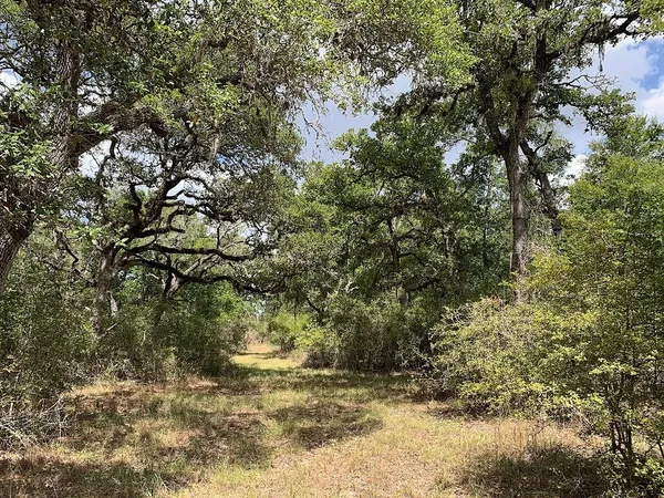 $129,900 | 0 Private Road 1581 Road, Hallettsville, TX 77964