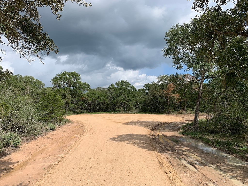 0 Private Road 1581 Road Hallettsville, TX 77964 - Photo 12 of 24 a view of dirt field with trees in the background