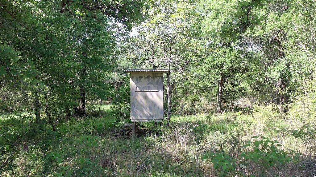 0 Private Road 1581 Road Hallettsville, TX 77964 - Photo 13 of 24 a view of a back yard