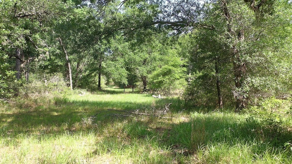 0 Private Road 1581 Road Hallettsville, TX 77964 - Photo 2 of 24 a view of outdoor space and a yard