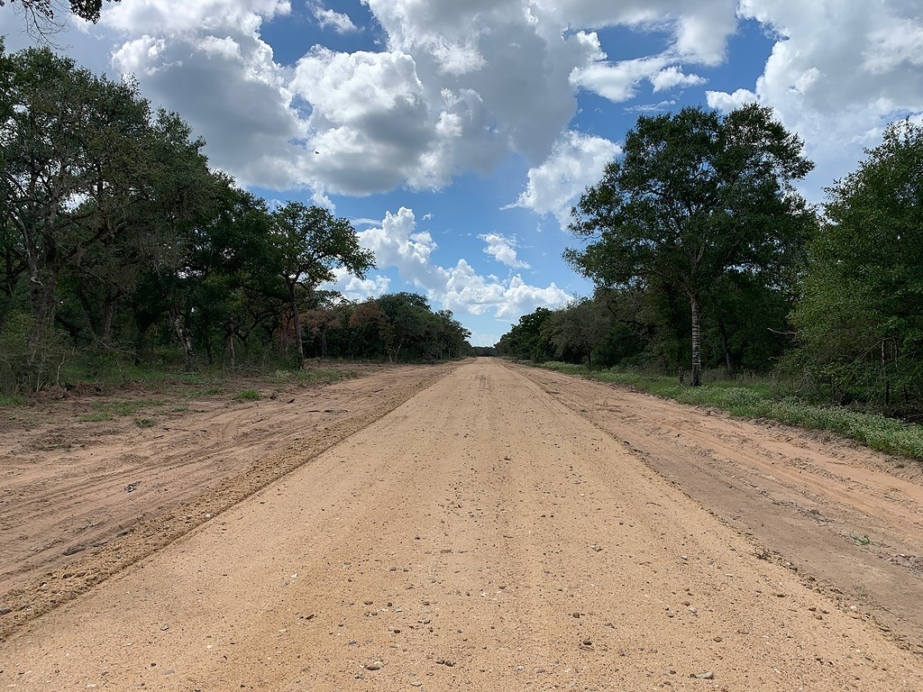 0 Private Road 1581 Road Hallettsville, TX 77964 - Photo 8 of 24 a view of outdoor space and yard