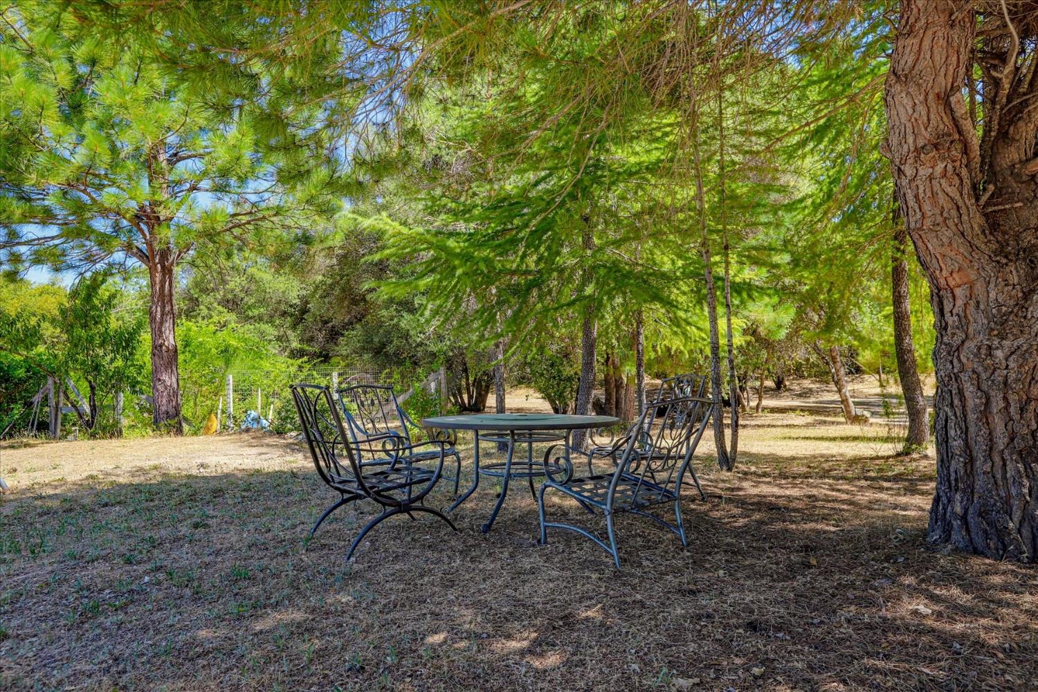 21748 Hyatt Road Nevada City, CA 95959 - Photo 80 of 83