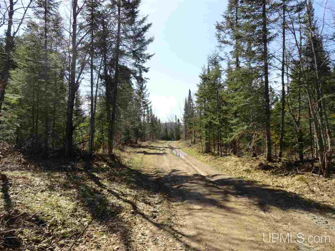 68-acres Peshekee Grade Road Skanee, MI 49861 - Photo 11 of 14