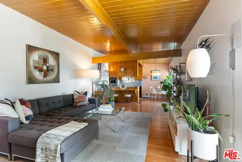 a living room with furniture and a potted plant