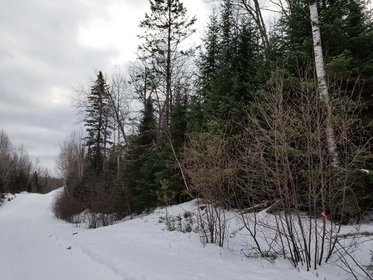 Lot 20 Ten Road Mercer, WI 54547 - Photo 6 of 12 Gallery Image 6