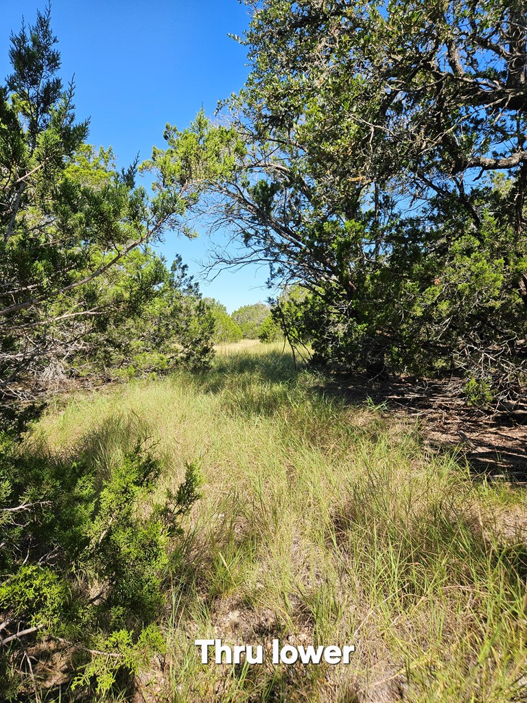 301 Cross Cut Road Hunt, TX 78024 - Photo 23 of 35