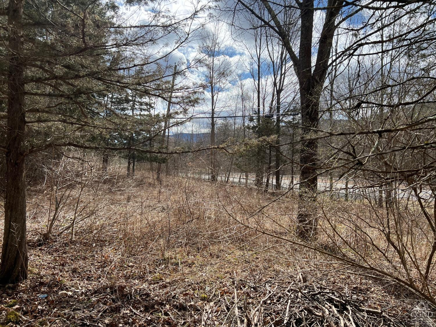 0 Route 23a Road Prattsville, NY 12468 - Photo 5 of 18 Photo 4