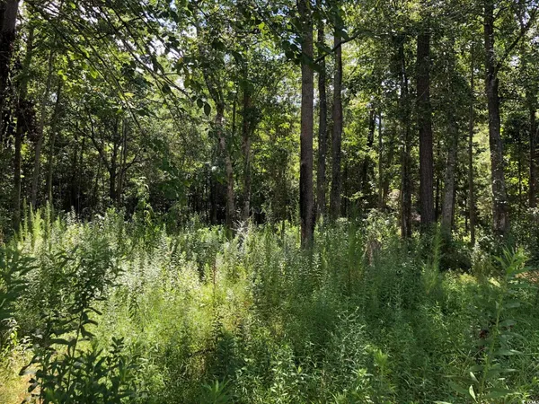 $49,000 | 2 Red Bluff Road, Loris, SC 29569