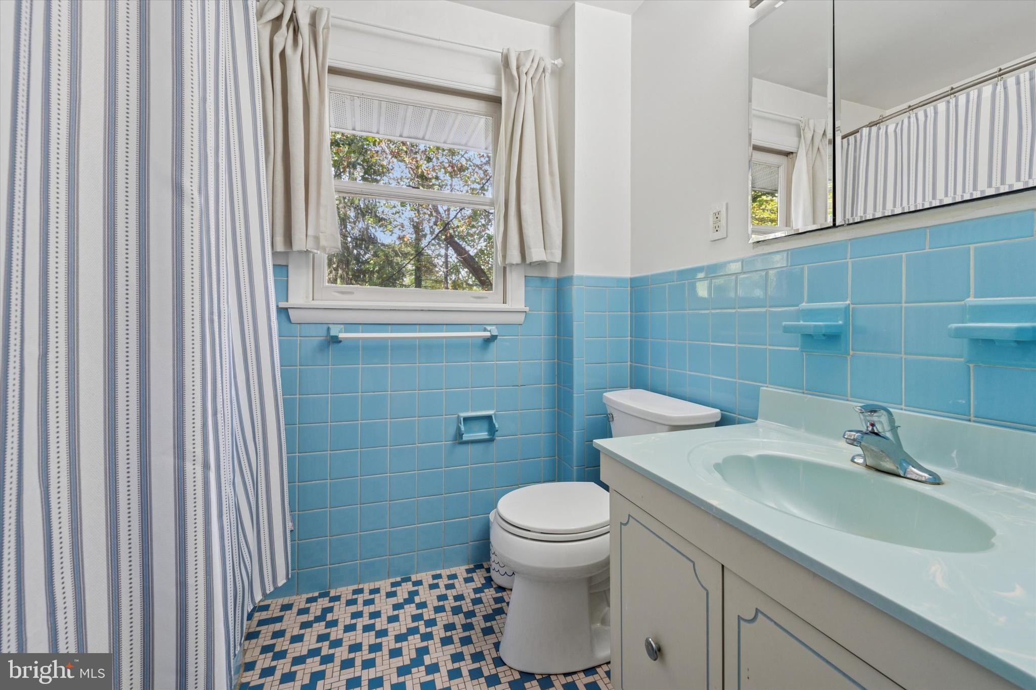 808 Berwyn Baptist Road Devon, PA 19333 - Photo 20 of 26 a bathroom with a sink a toilet and window