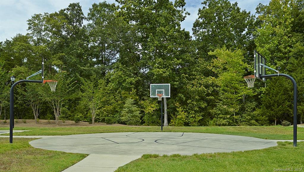 645 Zinnia Way, Unit 747 Tega Cay, SC 29708 - Photo 11 of 21 Gallery Image 11