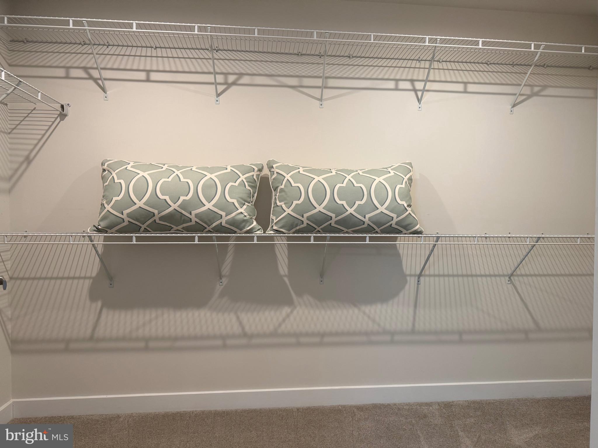 16 Thornton Drive Ocean View, DE 19970 - Photo 16 of 31 Walk-in Closet