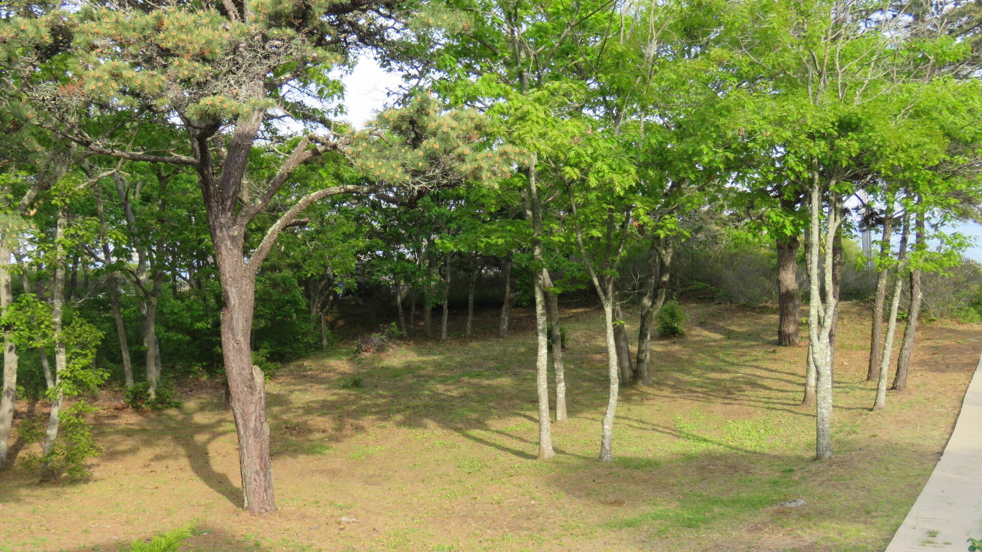 823 Popham Road Phippsburg, ME 04562 - Photo 12 of 119 IMG_4555