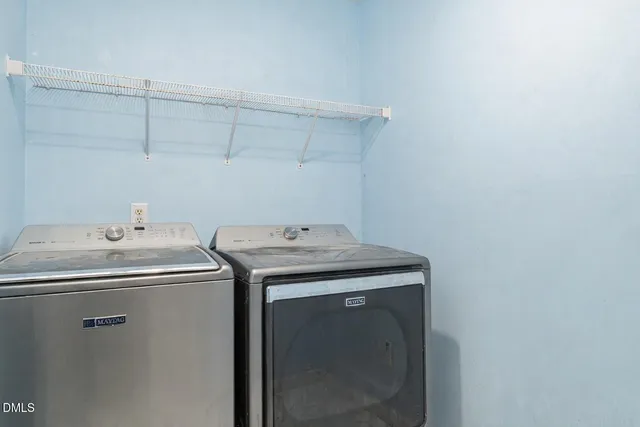 a view of a yard with plants and trees