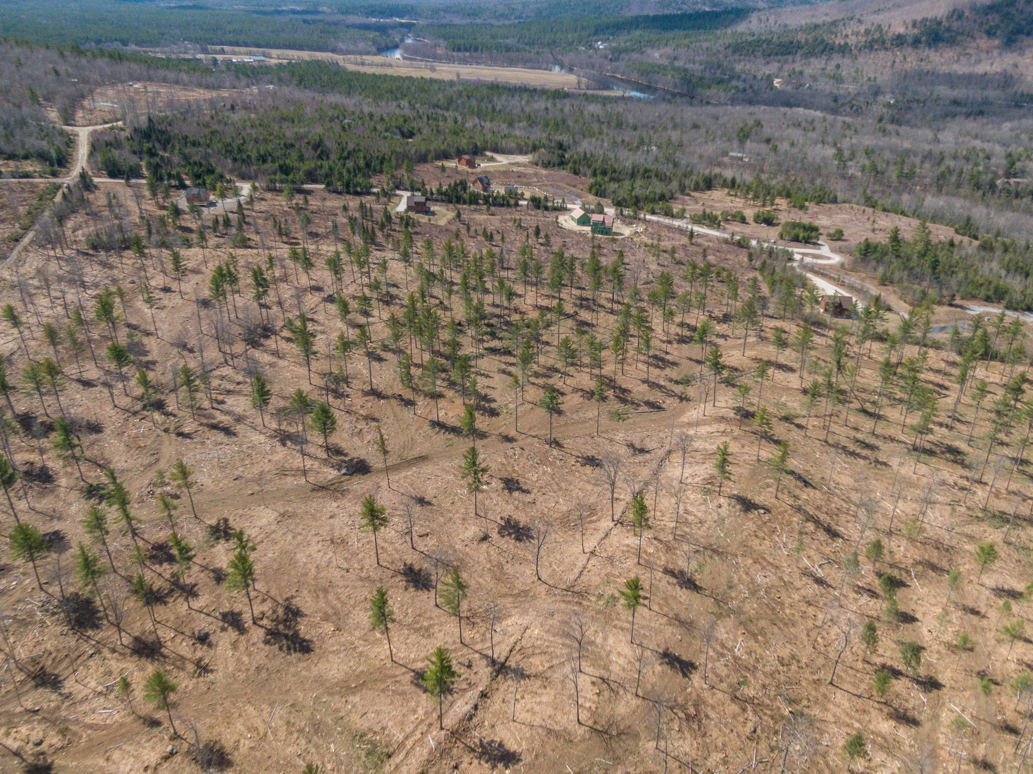 Tbd Swan Hill Road Bethel, ME 04217 - Photo 6 of 20 Swan Hill Lot-8