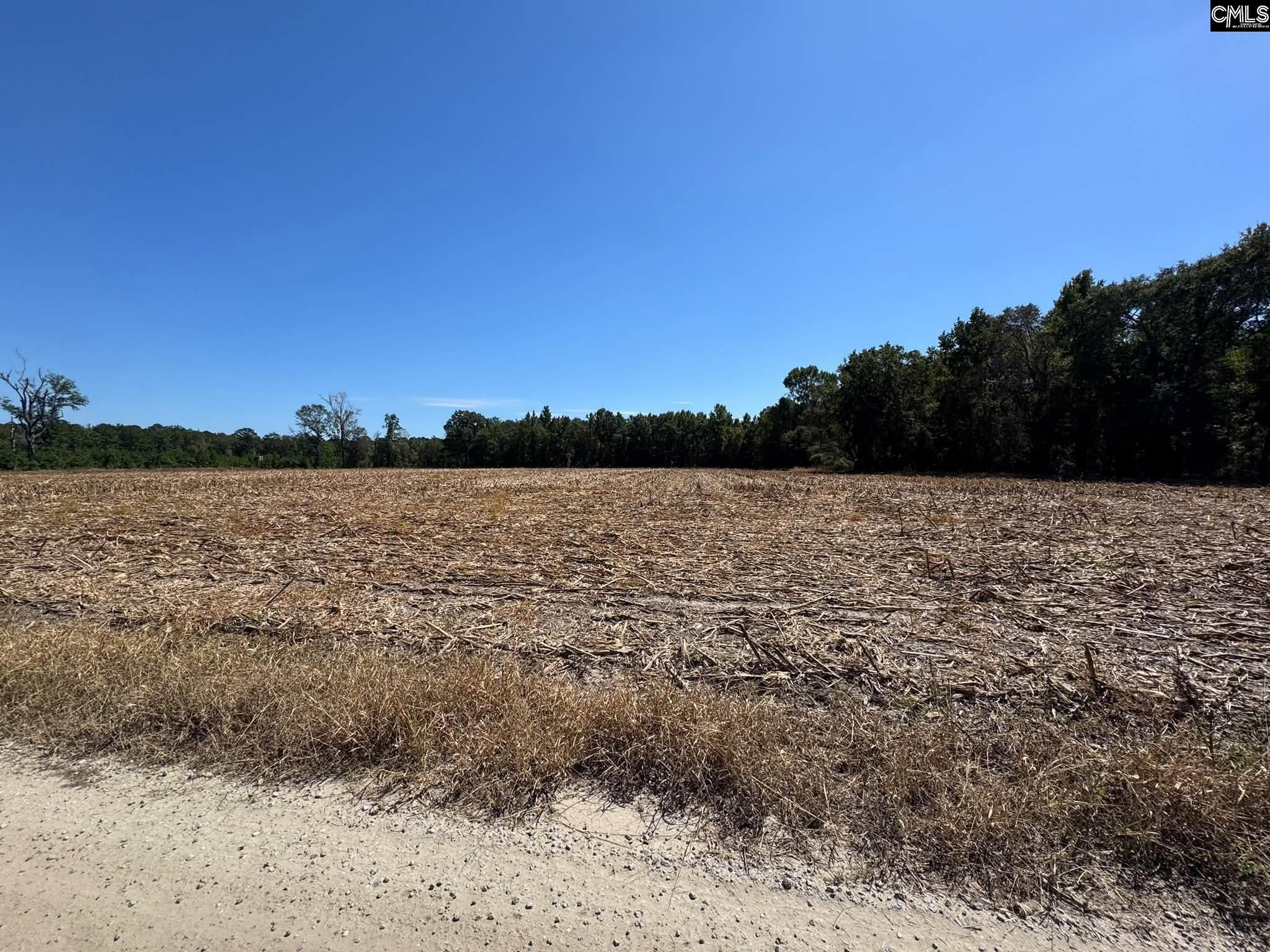 St Matthews Church Road Sumter, SC 29153 - Photo 9 of 34 Gallery Image 9