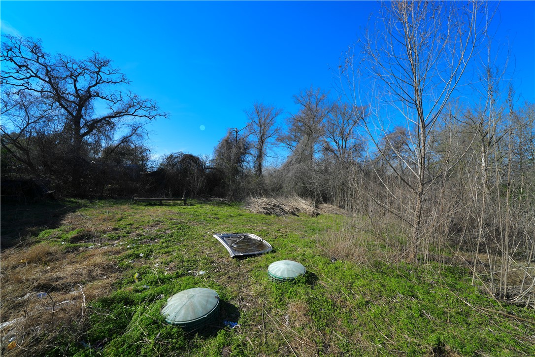 2552 Barnes Road Bryan, TX 77807 - Photo 8 of 14 View of yard with septic