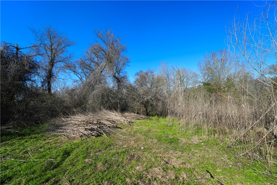 2552 Barnes Road Bryan, TX 77807 - Photo 9 of 14 View of yard