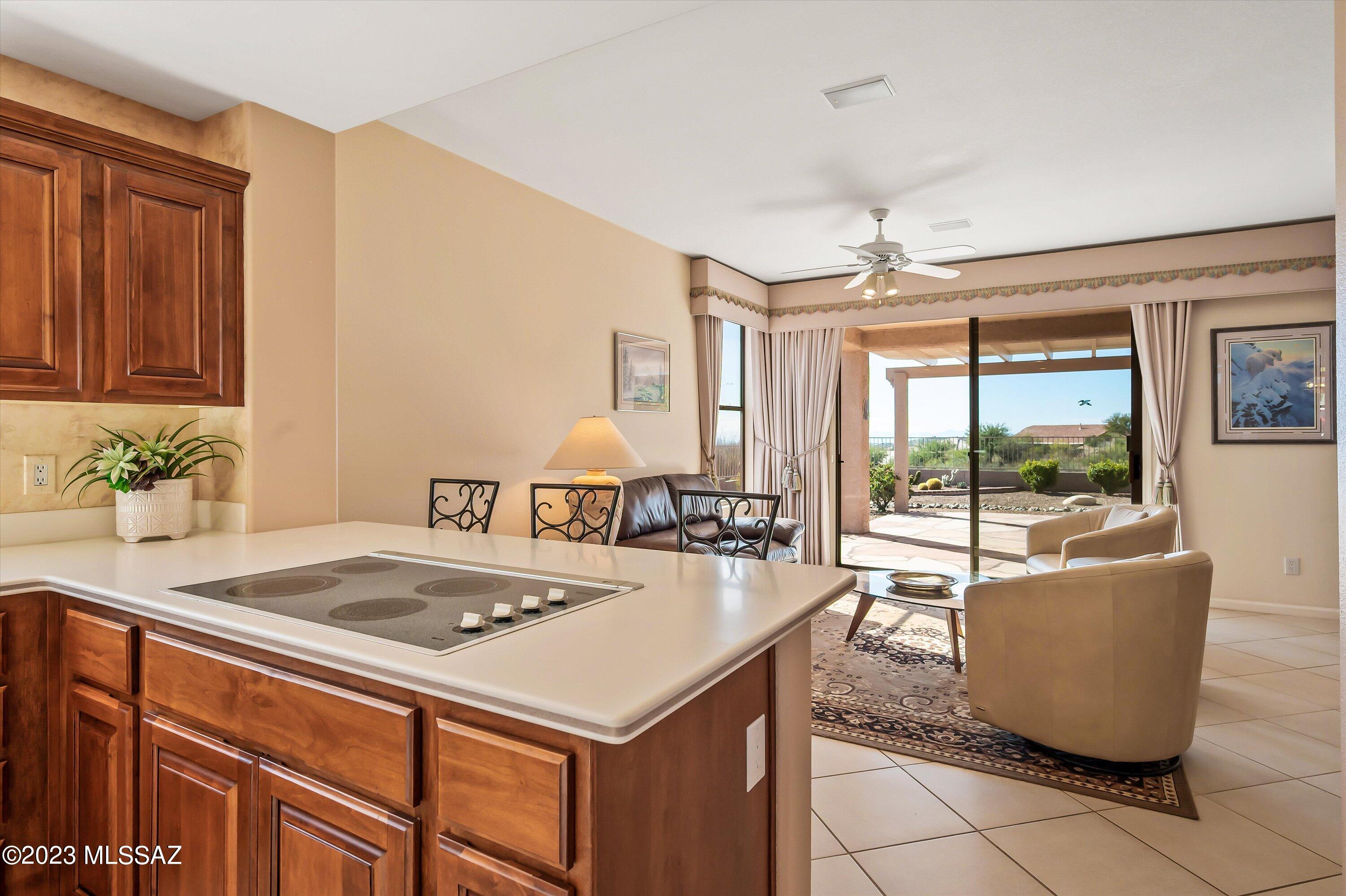 65161 East Rose Ridge Court Tucson, AZ 85739 - Photo 24 of 46