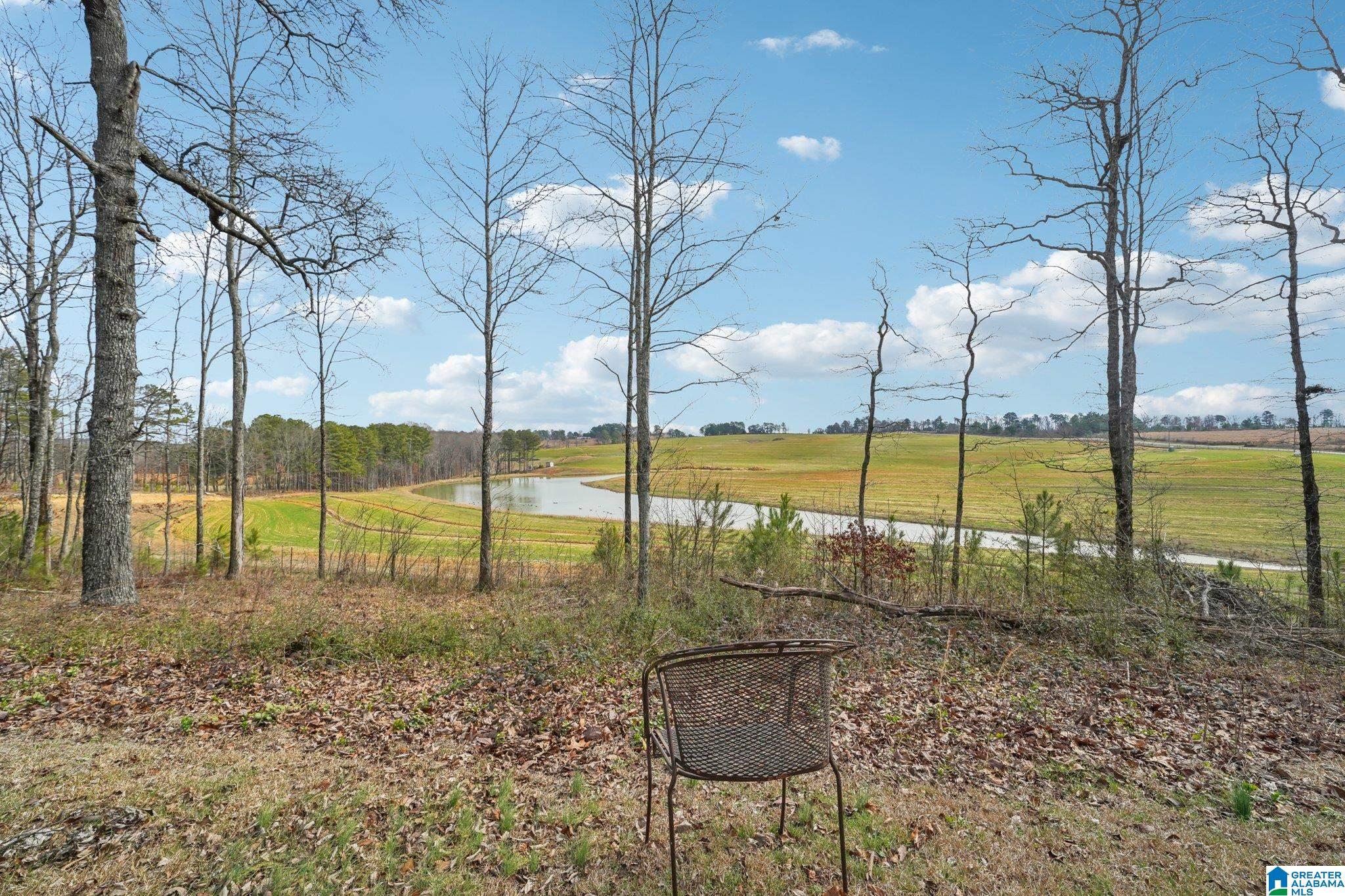 1437 Jones Chapel Loop Springville, AL 35146 - Photo 19 of 22