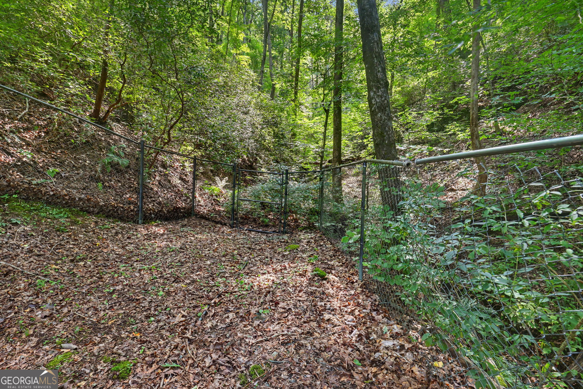 4273 Yonah Dam Road Toccoa, GA 30577 - Photo 8 of 48 Gallery Image 8