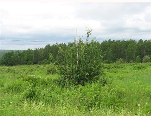 480 Goding Road Ashland, ME 04732 - Photo 3 of 4 Land.