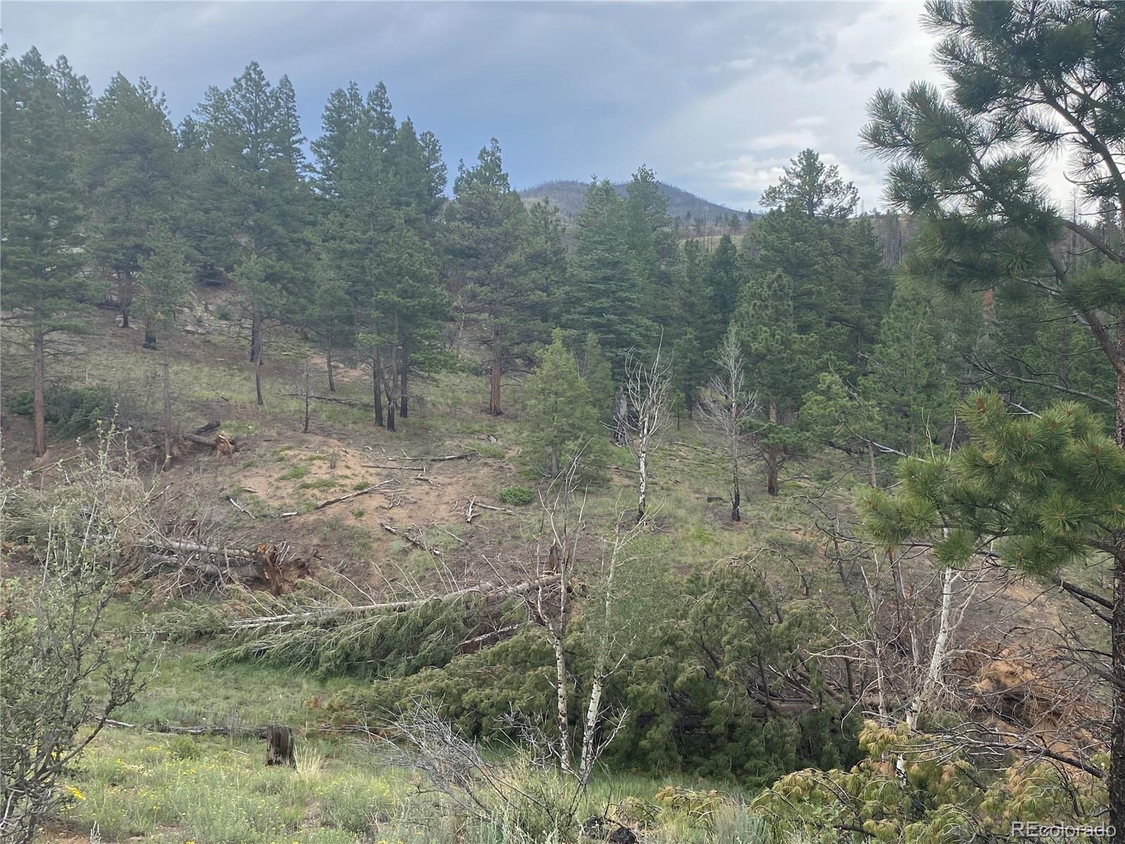 7761 Jeff Road Fort Garland, CO 81133 - Photo 11 of 29 Gallery Image 11