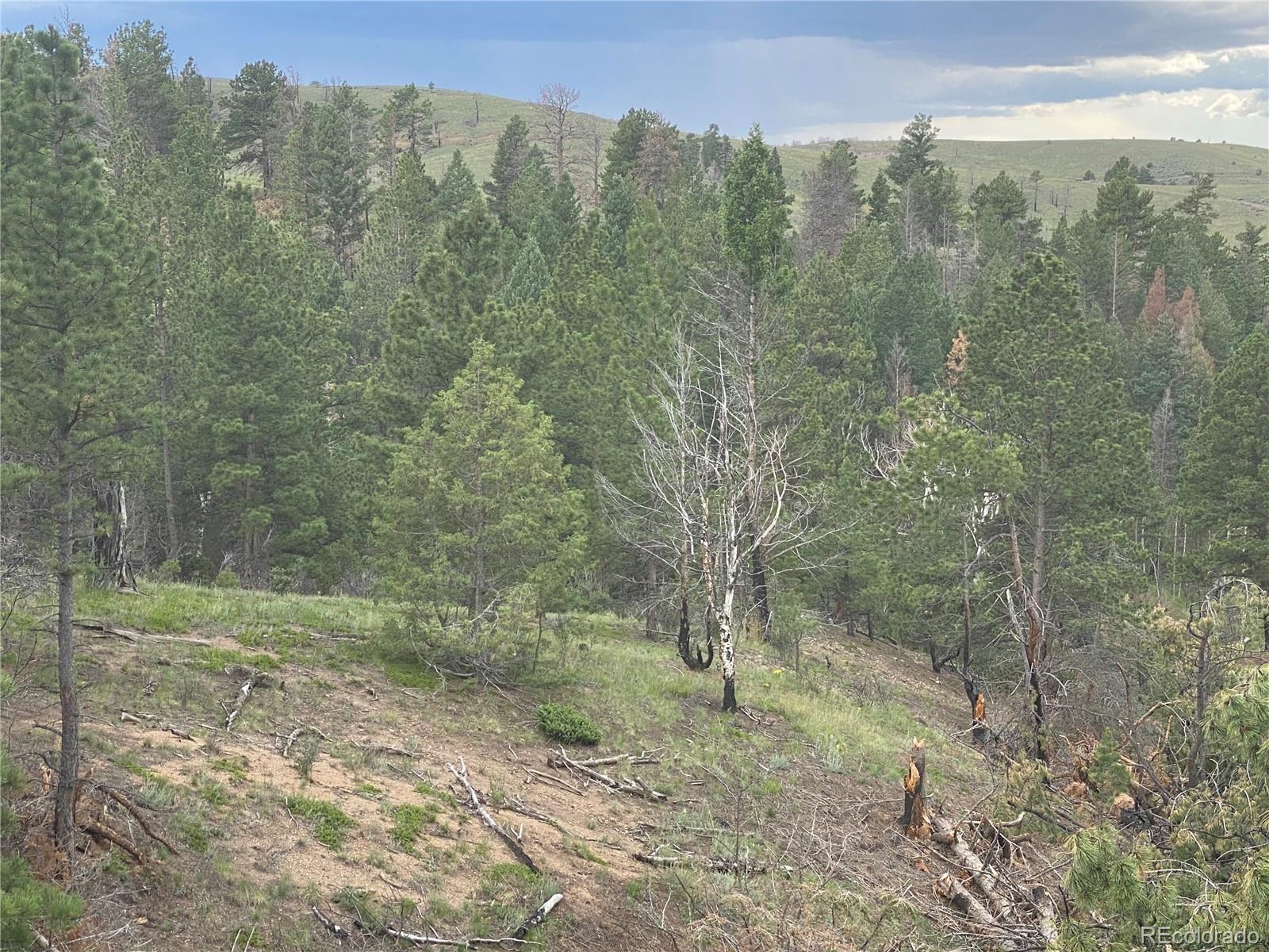 7761 Jeff Road Fort Garland, CO 81133 - Photo 12 of 29 Gallery Image 12
