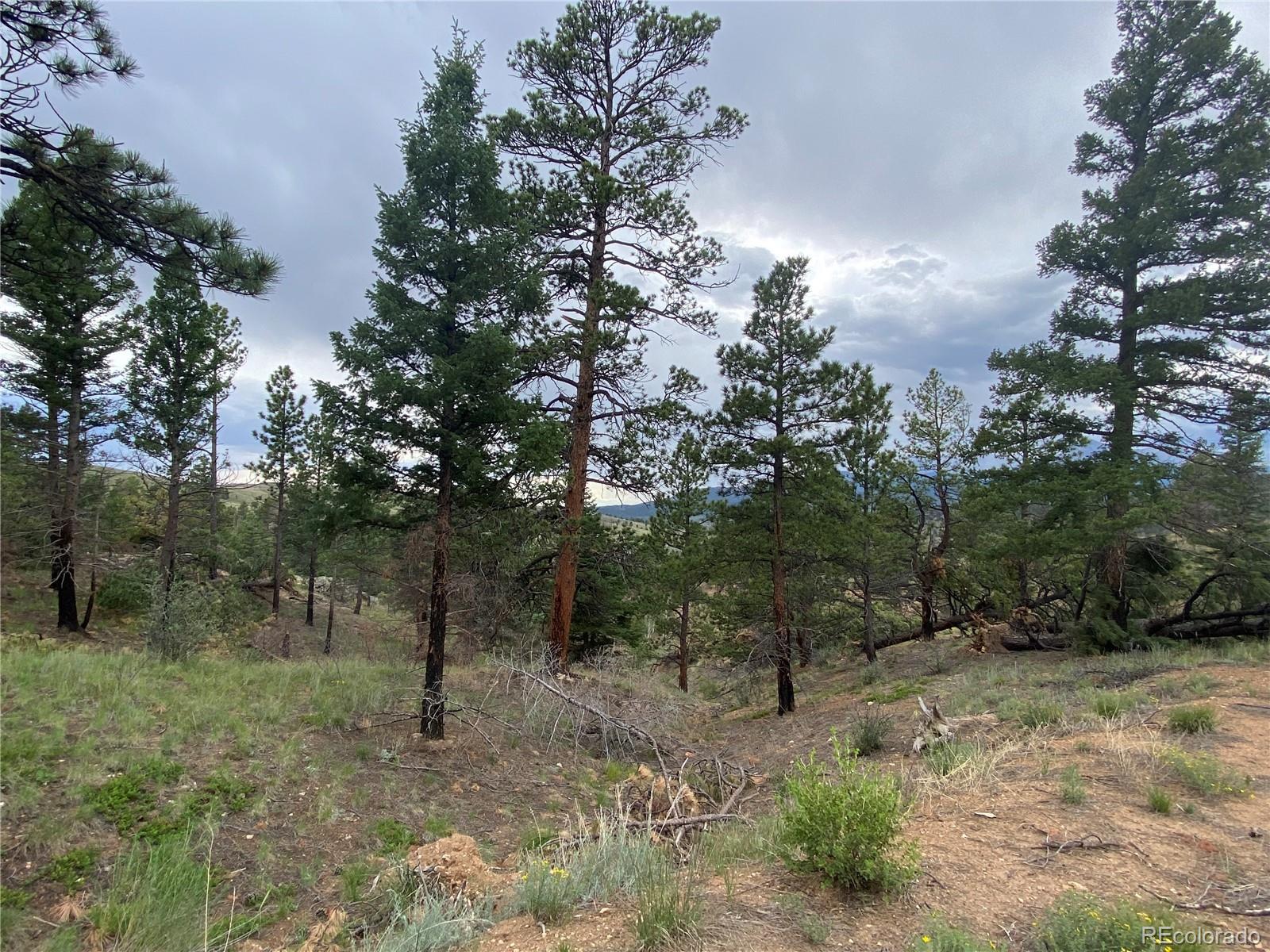 7761 Jeff Road Fort Garland, CO 81133 - Photo 15 of 29 Gallery Image 15