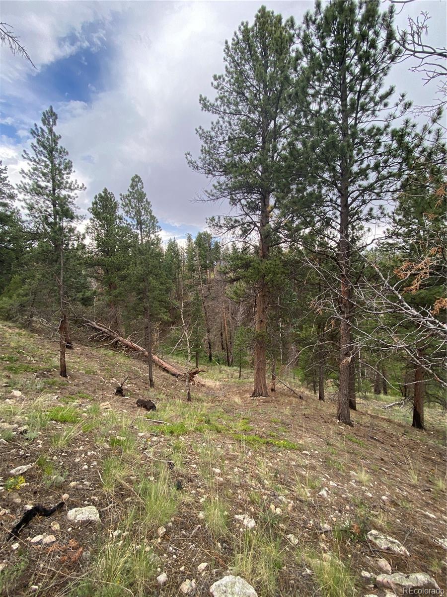 7761 Jeff Road Fort Garland, CO 81133 - Photo 23 of 29 Gallery Image 23