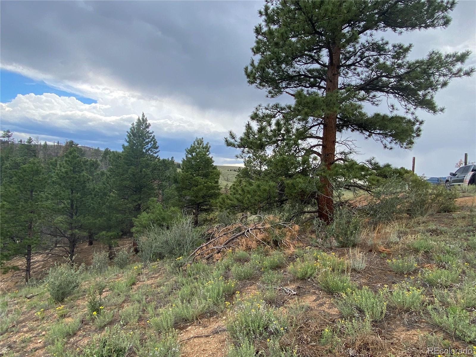 7761 Jeff Road Fort Garland, CO 81133 - Photo 8 of 29 Gallery Image 8