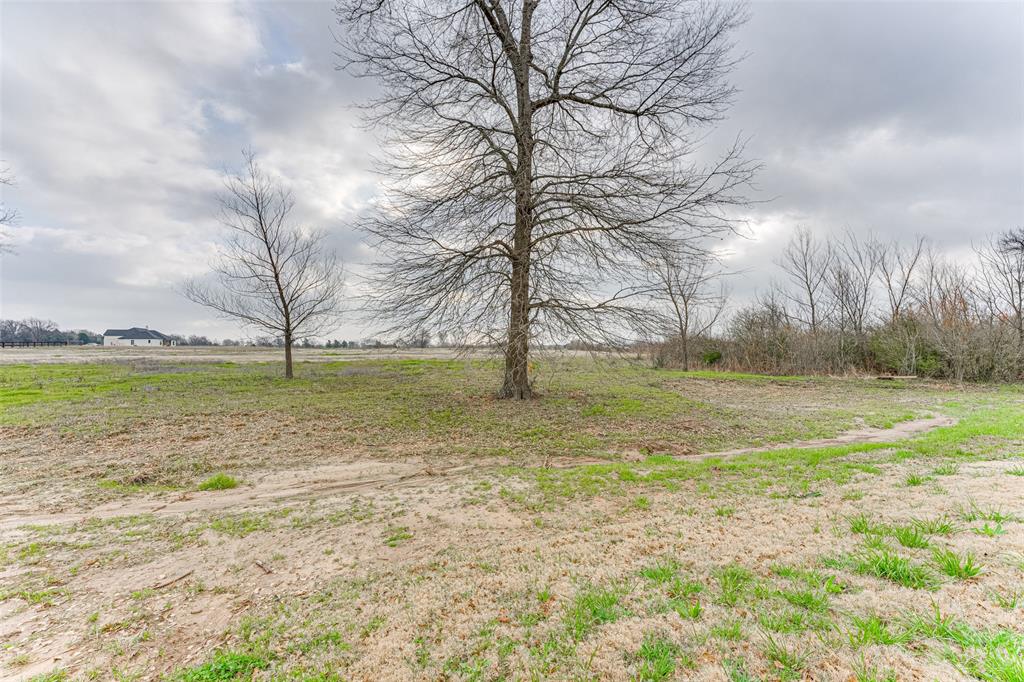 3167 County Road 1076 Celeste, TX 75423 - Photo 24 of 26 a view of a field with an trees