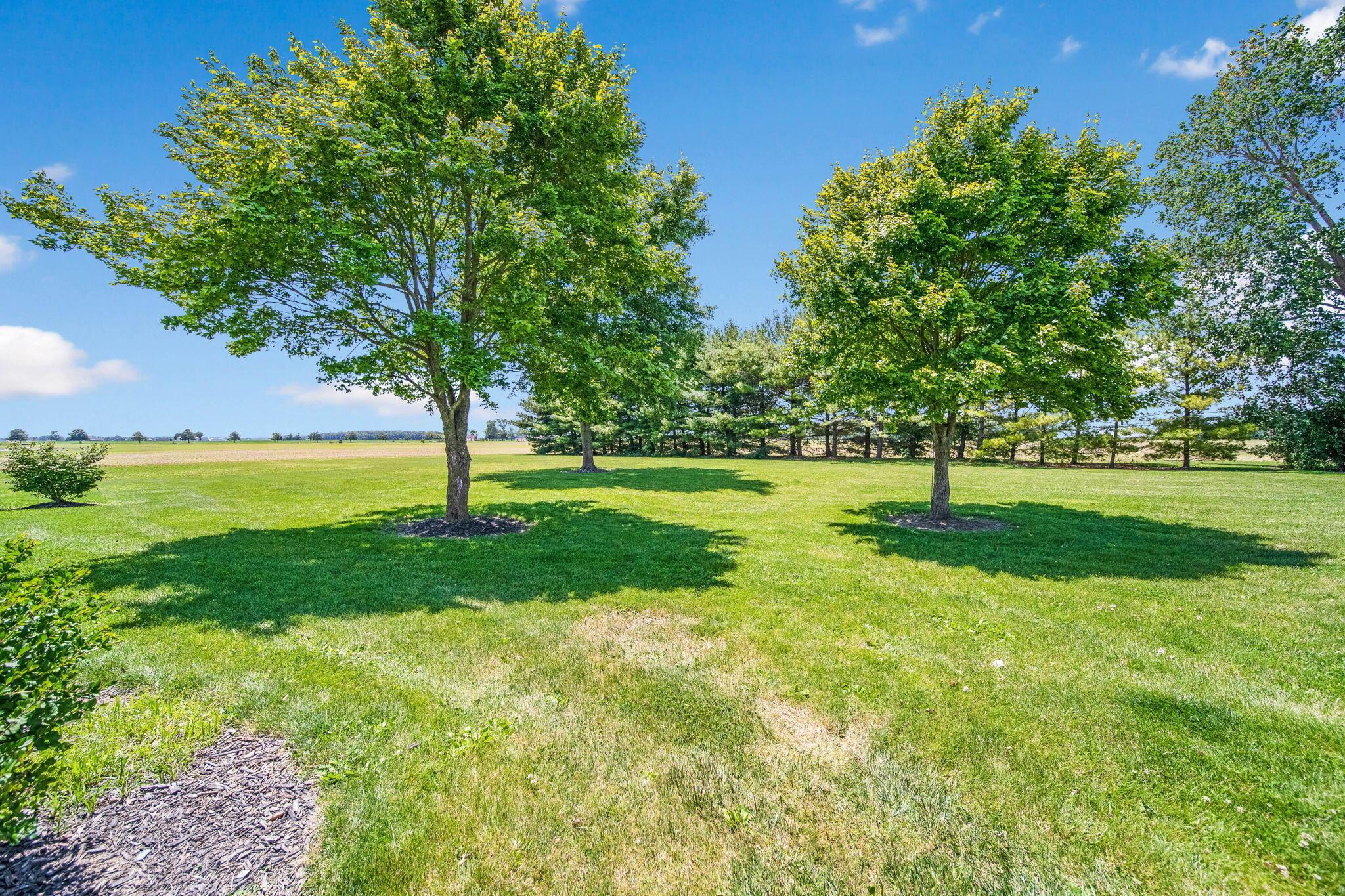 7383 Troy Road Radnor, OH 43066 - Photo 71 of 76 76-web-or-mls-DSC05728