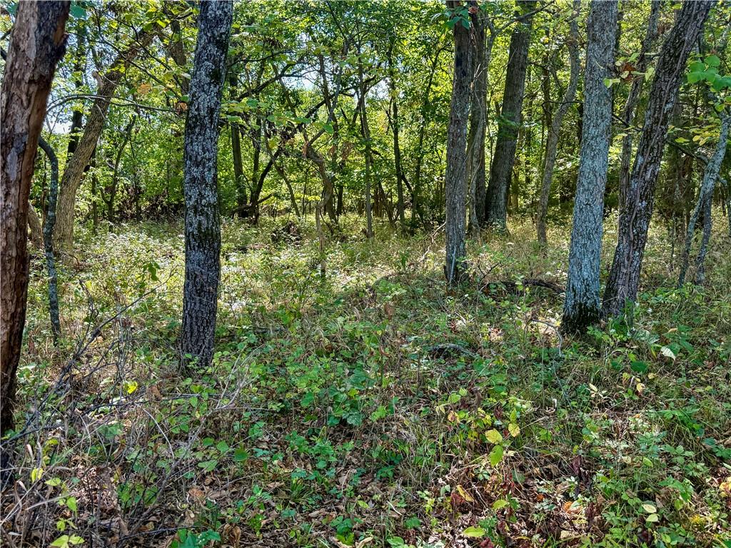 0 New Lancaster Road Lacygne, KS 66040 - Photo 17 of 32